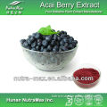 Brazilian High Quality Acai Berry Extract Powder Polyphenols Anthocyanidins